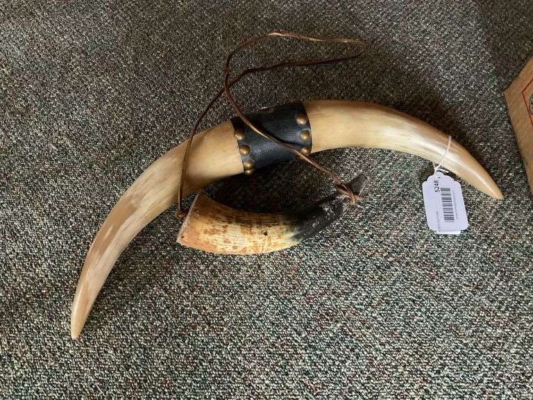 Powder horn and mounted horns