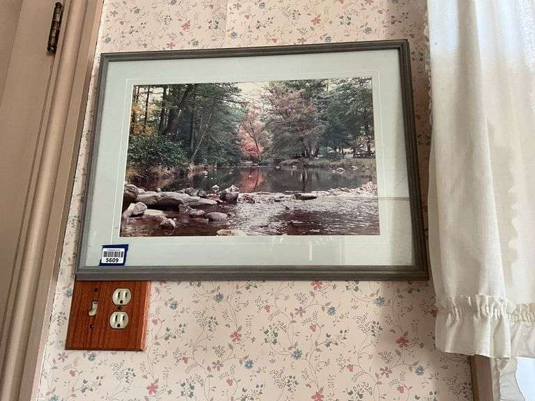Joan Fries art photograph, Caledonia State Park, framed