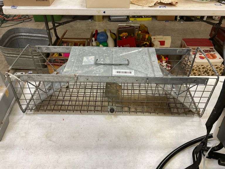 Live animal trap