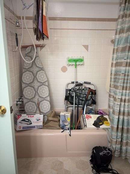 Contents of bathroom: ironing board, iron, walker, canes, hand vac, garden flags, Inogen oxygen machine, waste cans, health products, framed print, misc