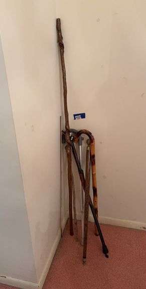 Canes & Walking Sticks