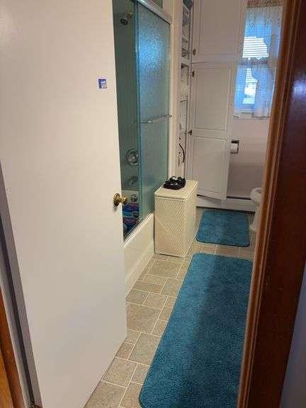 Contents of bathroom: cane, pedal exerciser, hamper, throw pillows, seat cushions, rugs, wall decor, misc