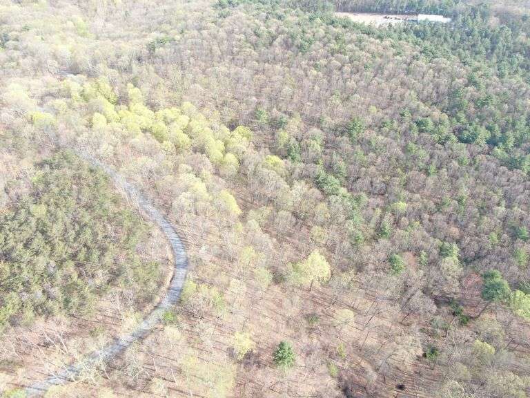 Real Estate: 7.38± Acres Sassafras Rd, Petersburg, PA 16669