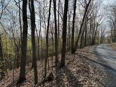 Real Estate: 7.38± Acres Sassafras Rd, Petersburg, PA 16669