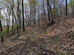 Real Estate: 7.38± Acres Sassafras Rd, Petersburg, PA 16669