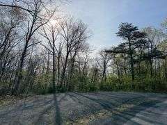 Real Estate: 7.38± Acres Sassafras Rd, Petersburg, PA 16669