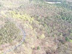 Real Estate: 7.38± Acres Sassafras Rd, Petersburg, PA 16669