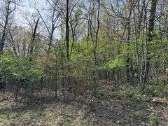 Real Estate: 7.38± Acres Sassafras Rd, Petersburg, PA 16669