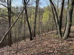 Real Estate: 7.38± Acres Sassafras Rd, Petersburg, PA 16669