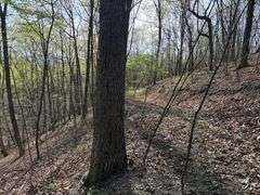 Real Estate: 7.38± Acres Sassafras Rd, Petersburg, PA 16669