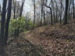 Real Estate: 7.38± Acres Sassafras Rd, Petersburg, PA 16669