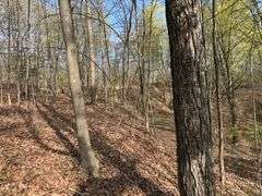 Real Estate: 7.38± Acres Sassafras Rd, Petersburg, PA 16669