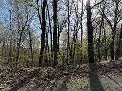 Real Estate: 7.38± Acres Sassafras Rd, Petersburg, PA 16669