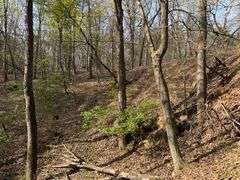 Real Estate: 7.38± Acres Sassafras Rd, Petersburg, PA 16669