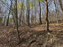Real Estate: 7.38± Acres Sassafras Rd, Petersburg, PA 16669