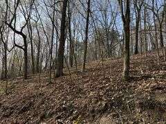 Real Estate: 7.38± Acres Sassafras Rd, Petersburg, PA 16669