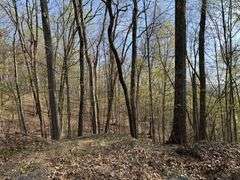 Real Estate: 7.38± Acres Sassafras Rd, Petersburg, PA 16669
