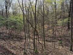 Real Estate: 7.38± Acres Sassafras Rd, Petersburg, PA 16669