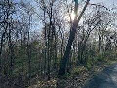 Real Estate: 7.38± Acres Sassafras Rd, Petersburg, PA 16669