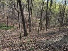 Real Estate: 7.38± Acres Sassafras Rd, Petersburg, PA 16669