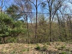 Real Estate: 7.38± Acres Sassafras Rd, Petersburg, PA 16669