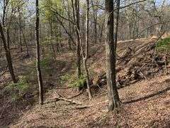 Real Estate: 7.38± Acres Sassafras Rd, Petersburg, PA 16669