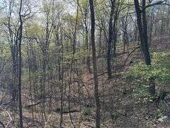 Real Estate: 7.38± Acres Sassafras Rd, Petersburg, PA 16669