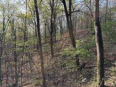 Real Estate: 7.38± Acres Sassafras Rd, Petersburg, PA 16669