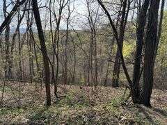 Real Estate: 7.38± Acres Sassafras Rd, Petersburg, PA 16669