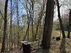 Real Estate: 7.38± Acres Sassafras Rd, Petersburg, PA 16669