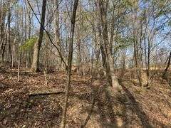 Real Estate: 7.38± Acres Sassafras Rd, Petersburg, PA 16669