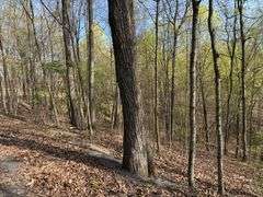 Real Estate: 7.38± Acres Sassafras Rd, Petersburg, PA 16669