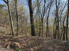 Real Estate: 7.38± Acres Sassafras Rd, Petersburg, PA 16669