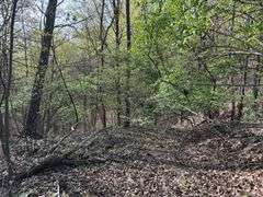 Real Estate: 7.38± Acres Sassafras Rd, Petersburg, PA 16669