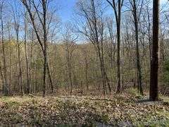 Real Estate: 7.38± Acres Sassafras Rd, Petersburg, PA 16669
