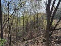 Real Estate: 7.38± Acres Sassafras Rd, Petersburg, PA 16669