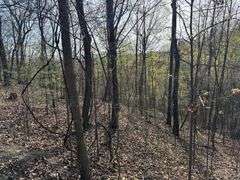 Real Estate: 7.38± Acres Sassafras Rd, Petersburg, PA 16669