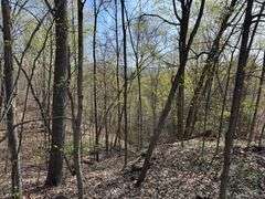 Real Estate: 7.38± Acres Sassafras Rd, Petersburg, PA 16669