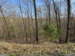 Real Estate: 7.38± Acres Sassafras Rd, Petersburg, PA 16669