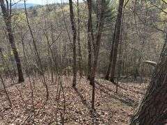Real Estate: 7.38± Acres Sassafras Rd, Petersburg, PA 16669