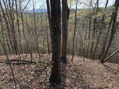Real Estate: 7.38± Acres Sassafras Rd, Petersburg, PA 16669