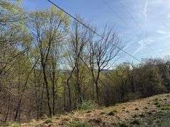 Real Estate: 7.38± Acres Sassafras Rd, Petersburg, PA 16669