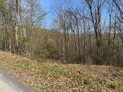 Real Estate: 7.38± Acres Sassafras Rd, Petersburg, PA 16669