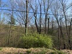 Real Estate: 7.38± Acres Sassafras Rd, Petersburg, PA 16669