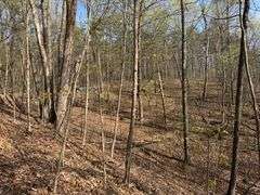 Real Estate: 7.38± Acres Sassafras Rd, Petersburg, PA 16669