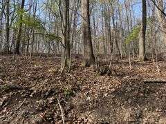 Real Estate: 7.38± Acres Sassafras Rd, Petersburg, PA 16669