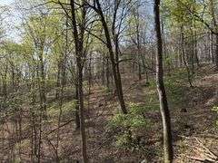 Real Estate: 7.38± Acres Sassafras Rd, Petersburg, PA 16669