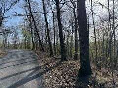 Real Estate: 7.38± Acres Sassafras Rd, Petersburg, PA 16669