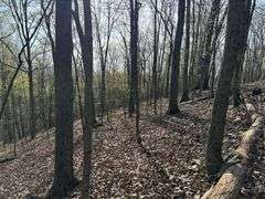 Real Estate: 7.38± Acres Sassafras Rd, Petersburg, PA 16669