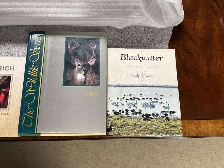 Four books including: The Birdhouse Book, Woolrich